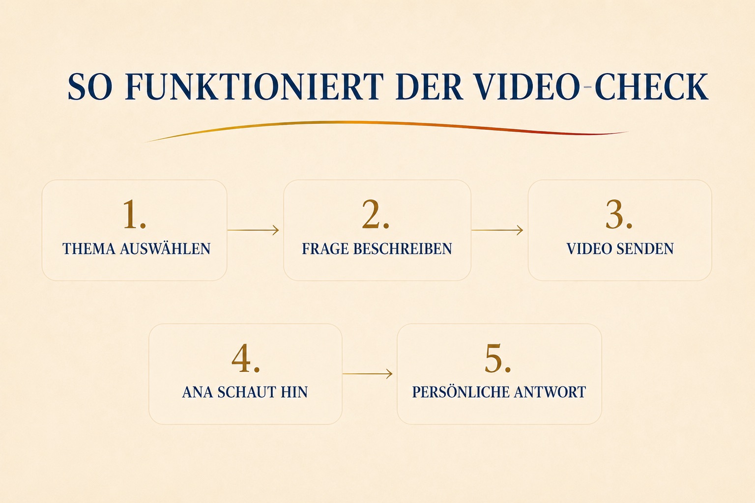 so funktioniert die Videoanalyse Hund